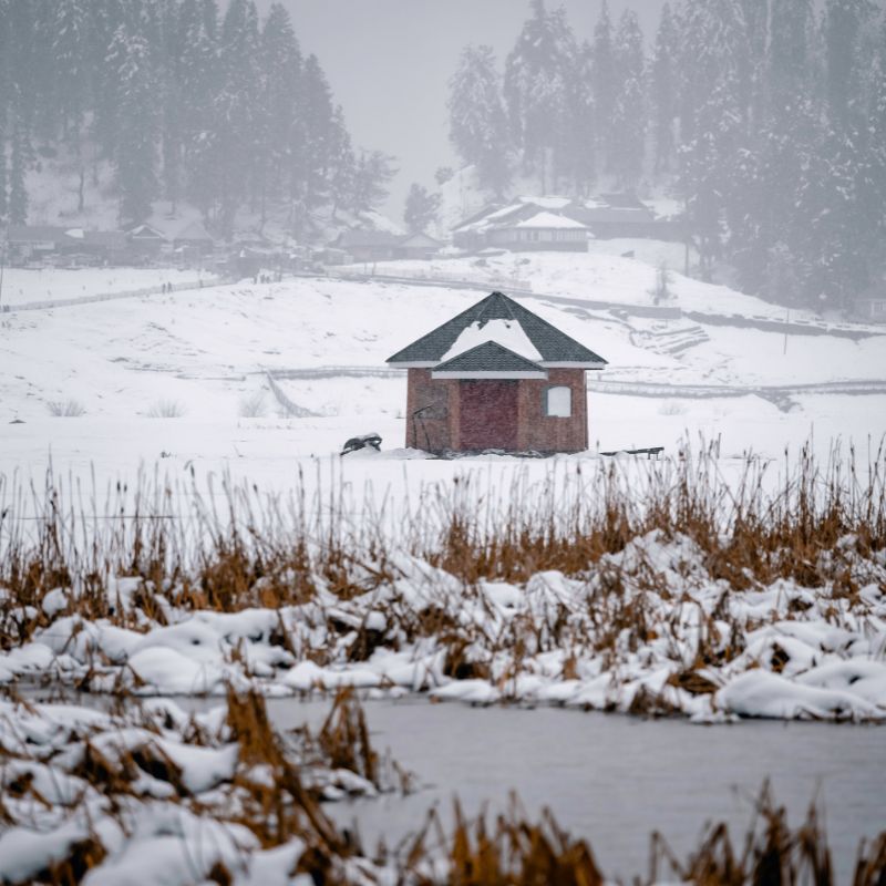 images/insta/Kashmir Tour Package 5 Nights 6 Days 5.jpg